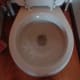sprinkle Borax into the toilet bowl