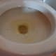 If needed, scrub the toilet with half of a lemon or add 3 tablespoons of lemon juice to the Borax water and scrub again