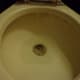 flush the toilet before you start