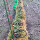 starting-a-straw-bale-garden