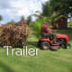 Moving Bulrushes