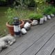 The Quartz stones found in a rockery in the garden, cleaned with the pressure washer and now taking pride of place on our decking.