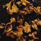 The time to harvest the seeds of a blackberry lily plant is when the seed capsules ripen and turn beige, or when they split open.