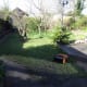 Our lawn with the mini-orchard and spring bulbs at the far end.