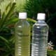 Studies have shown that Moringa seeds are capable of "purifying" water by prompting the bacteria in water to cluster together and die off.
