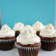 Cadbury Creme Muffins