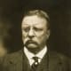 #26. Theodore Roosevelt