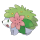 Shaymin (Land Forme)