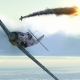 IL-2 Glory