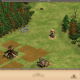 The stone deposit to the west , higher up on the map by the enemy Outpost and neutral Farms and Mills that will come under your control when you move a unit near them. Keep your food harvesting inside the walls of Orleans.