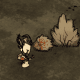 dont-starve-walkthrough-getting-started