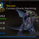 Curious Oracle Hatchling
