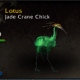 Jade Crane Chick