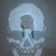 vulture-aid-in-buried-call-of-duty-black-ops-2-zombies