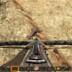 It is highly recommended you hunt with a crossbow. Firing any firearm repeatedly gives a chance of spawning a horde, which will attack you.