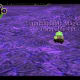 Unpredictable Magic Stan Catchable Pet, OAC.