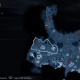 Horned Graugs location