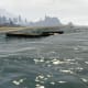 Water logged seashark dock.
