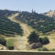 The view of the Vineyard from on top of your Personal Vehicle.