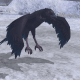 Naesala (transformed)
