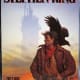 The Dark Tower: The Gunslinger
