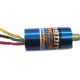 Brushless motor side view. Note pre-attached color-coded wires. (This particular one is a marine motor for model boats. Brushless motors for cars do not have a protruding shaft.)