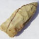 Alabama Arrowhead