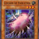 Cocoon of Evolution