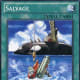 Salvage