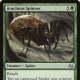 Arachnus Spinner