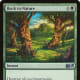Back to Nature mtg