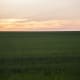 Grasslands