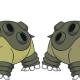 Hippowdon male and female