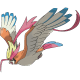 Mega Pidgeot