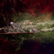 Chaos Battle Cruiser - Acheron (Death Guard Sub-Faction)