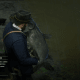 Channel Catfish have a chance of getting to 19 pounds.