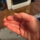 My fingers and thumb today.