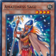 Amazoness Sage