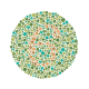 This plate has the number 6. However, those with tritanopia will be unable to see, or have difficulty distinguishing the number.