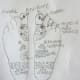 figure 13, points for endocrine glands in both feet