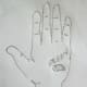 figure 11 B, pressure point for spleen in left hand only