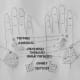 figure 13, points for endocrine glands in both hands