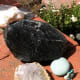 Obsidian from California adorns my garden wall.