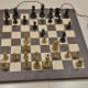 Manually installed picochess