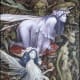 book-review-forgotten-things