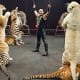 life-after-ringling-when-the-circus-closes-down