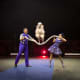 life-after-ringling-when-the-circus-closes-down