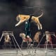 life-after-ringling-when-the-circus-closes-down