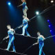 life-after-ringling-when-the-circus-closes-down