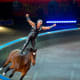 life-after-ringling-when-the-circus-closes-down